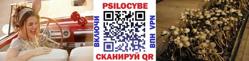 Псилоцибиновые грибы Magic Shrooms  Купить  Аткарск 